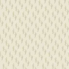 Carrot Tops - Wrapping Paper