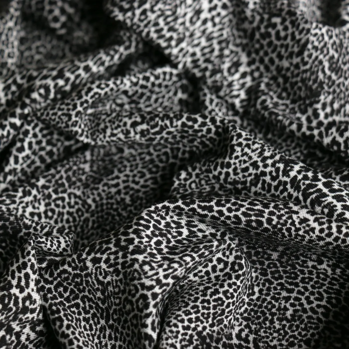Last Chance of Mini Gatto Grey Jersey