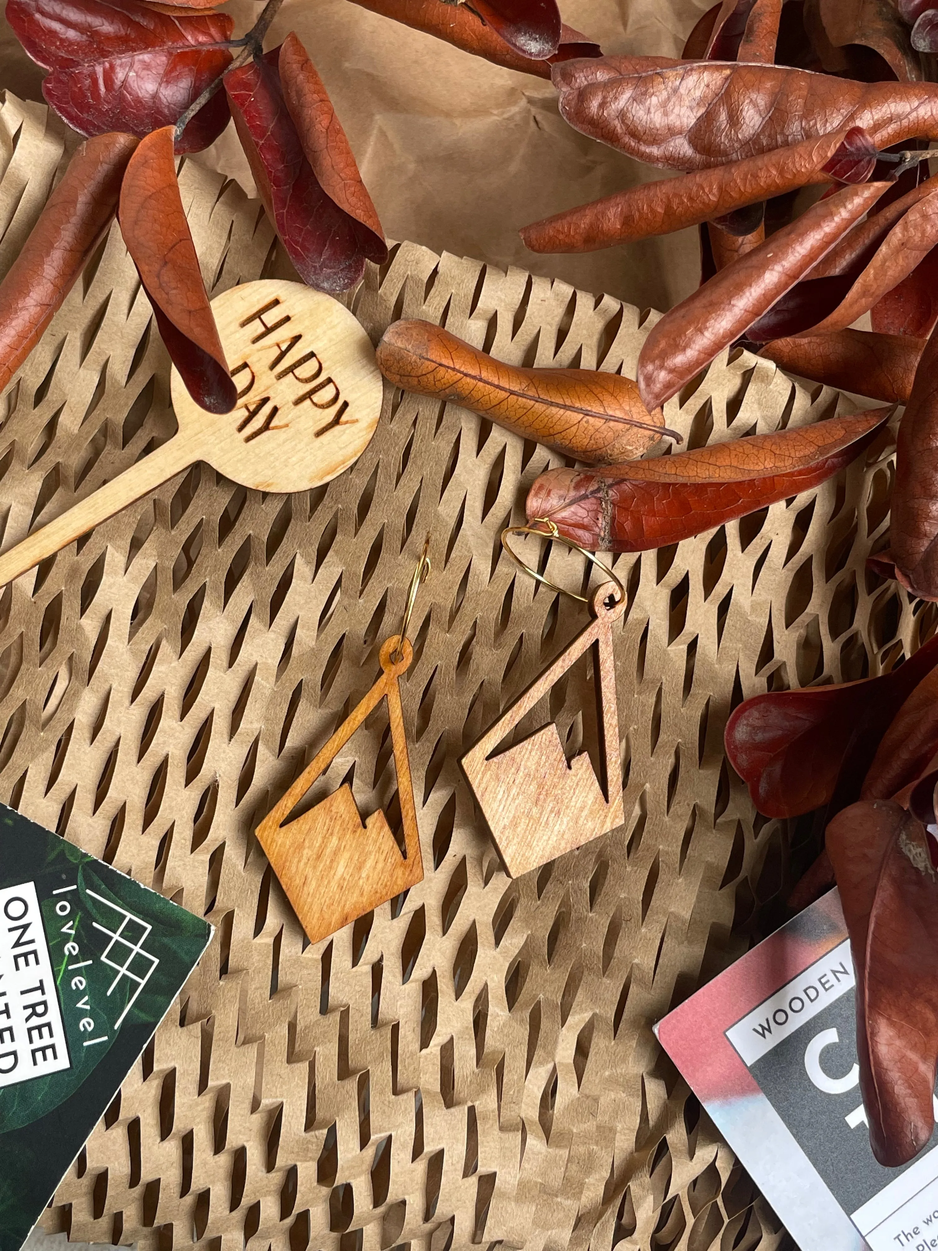 Natural Wood Earrings | PEAKS