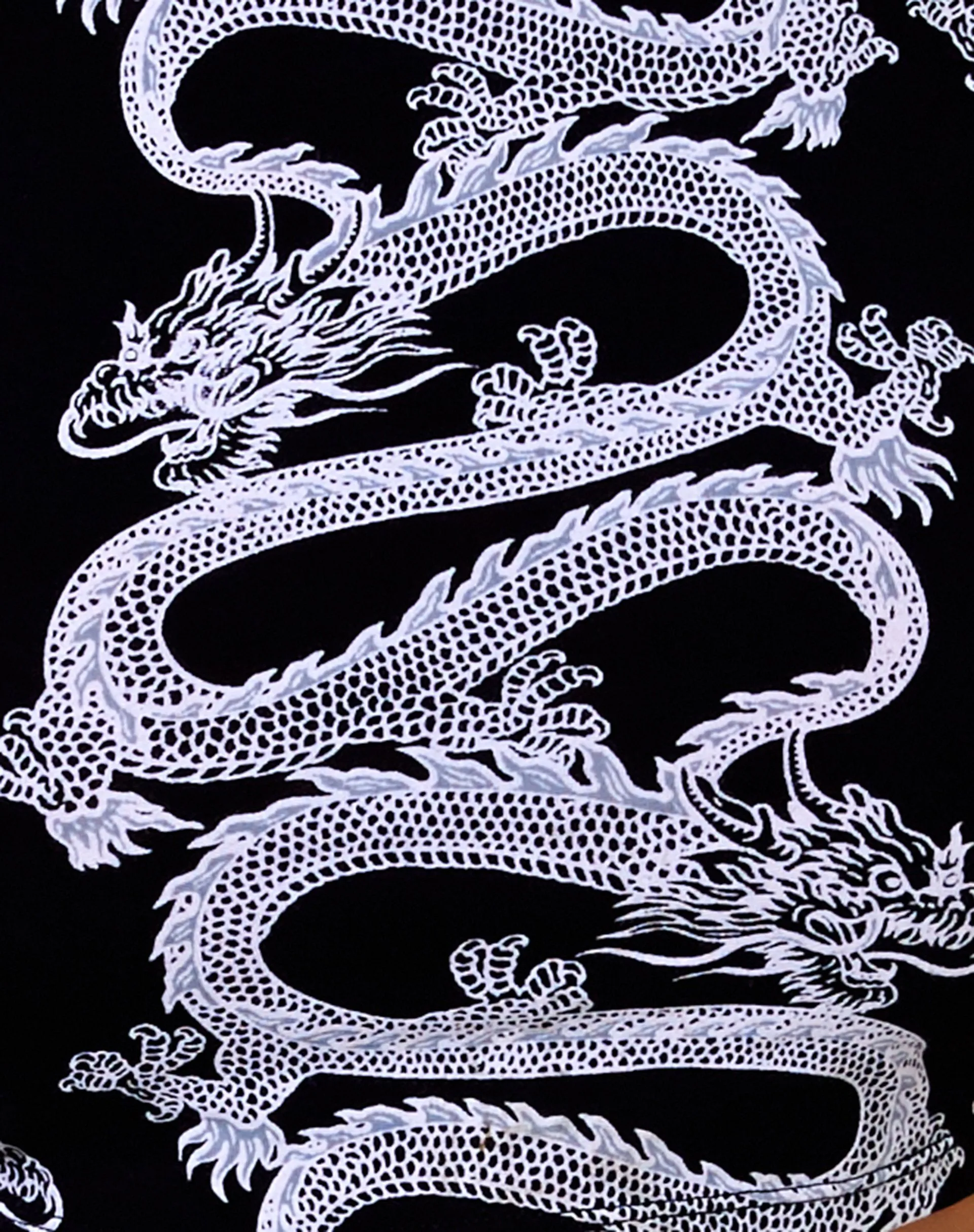 Quera Crop Top in Dragon Rope Black Placement